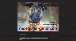 Desktop Screenshot of mosquito-gmbh.ch