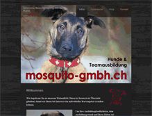 Tablet Screenshot of mosquito-gmbh.ch